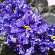 IMG_20260418_195836