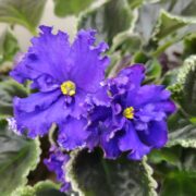 IMG_20260601_102318