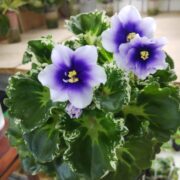 IMG_20250512_153110