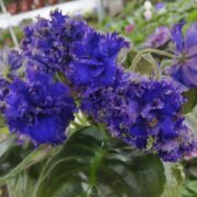 IMG_20250422_152934