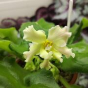 IMG_20251126_141619
