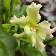 IMG_20251126_141640