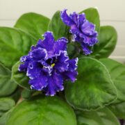 IMG_20251202_150412