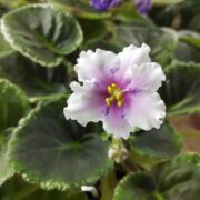 IMG_20250923_124724