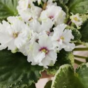 IMG_20260713_162120